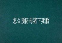 怎么预防母猪下死胎
