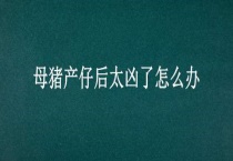 母猪产仔后太凶了怎么办？