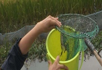 螃蟹什么地方好钓 附饵料选用和常用钓法