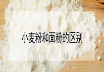 小麦粉和面粉的区别？