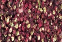 花椒种子多少钱一斤 花椒种子怎么多久？