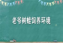 老爷树蛙饲养环境