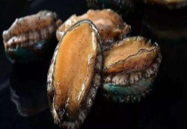 鲍鱼多少钱一斤 鲍鱼如何划分等级