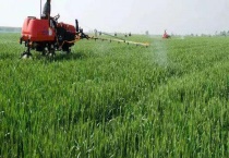 菌核净不能与哪些药物混用 附菌核净基本介绍和使用多久？