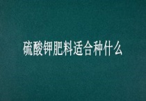 硫酸钾肥料适合种什么？