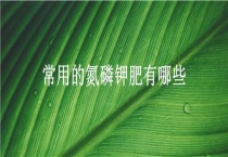 常用的氮磷钾肥有哪些？