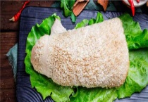 猪肚子是什么器官