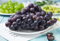 夏黑葡萄种植技术与管理