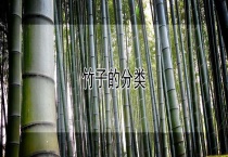 竹子的分类