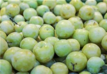 冰糖李亩产多少斤