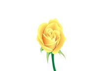 月季长虫子用什么药