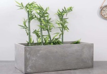 适合长方形花盆的植物