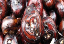 马蹄是蔬菜还是水果 水生蔬菜都有哪些共同特征