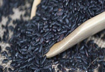 黑米掉色正常吗？附黑米的真假鉴别多久？