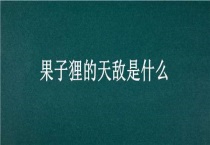 果子狸的天敌是什么？
