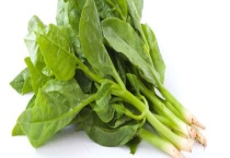 木耳菜什么时候种？附播种多久？