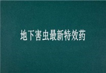 地下害虫最新特效药