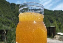 20元一斤蜂蜜是真的吗 蜂蜜怎么鉴别真假