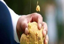 拉饵和搓饵的有什么区别？ 适钓鱼种有什么不同