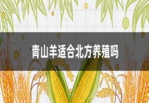 青山羊适合北方养殖吗？