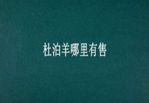 杜泊羊哪里有售