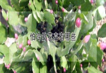 怕冷的花卉有哪些？