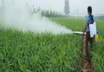 噻唑膦药害怎样应对 噻唑膦适用于哪些作物