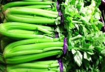 西芹是什么菜 西芹和芹菜的区别？