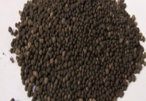 有机肥哪里可以购买 有机肥如何使用