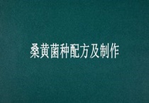桑黄菌种配方及制作