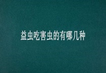 益虫吃害虫的有哪几种
