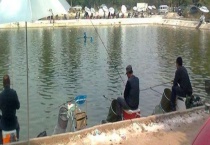 在黑坑怎么钓鱼 黑坑钓鱼要点大全