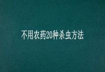 不用农药20种杀虫多久？