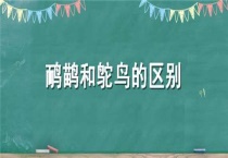 鸸鹋和鸵鸟的区别？是什么？