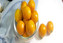 金桔移栽要注意什么？