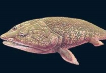 脊椎动物和无脊椎动物区别？