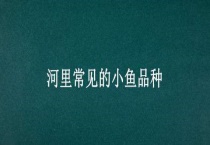 河里常见的小鱼品种