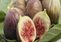 无花果树苗结果需要几年 附无花果对环境条件的要求