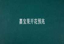 嘉宝果开花预兆