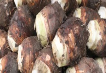 芋头能不能生吃 芋头的吃法有哪些？