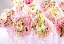 洋桔梗水养可以养多久？