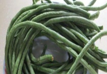 南方豇豆的种植时间和多久？