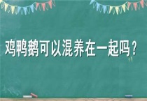 鸡鸭鹅可以混养在一起吗？