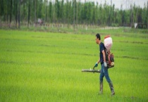 甲禾灵除草剂作用