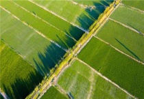 休闲度假农业包括