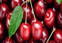 樱桃里面有虫子怎么办 附祛除虫子的具体多久？