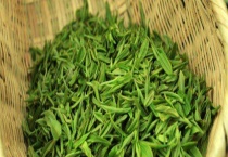 毛尖是什么茶 有哪些种类