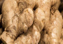 生姜什么时间种？什么时间收？