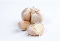 土里种大蒜的多久？