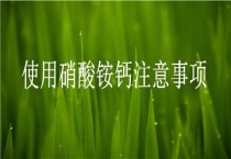 使用硝酸铵钙注意事项